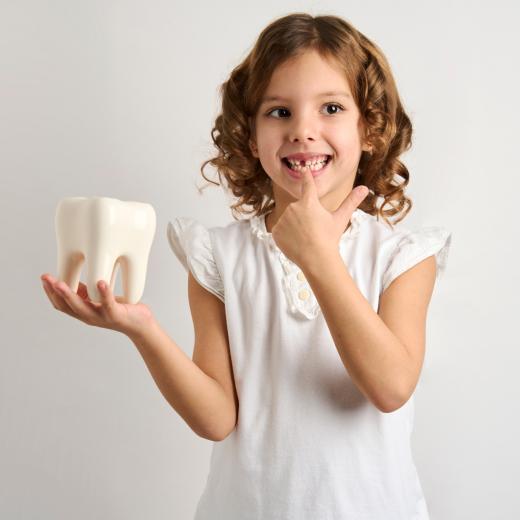 Junges Mädchen hält Zahnmodell und zeigt auf eigene Zahnlücke