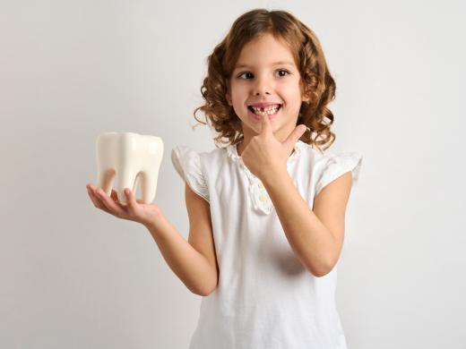 Junges Mädchen hält Zahnmodell und zeigt auf eigene Zahnlücke